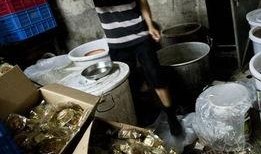 黑心作坊爆料新闻视频,视频曝光惊人内幕