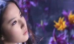 天涯爆料女海王视频,女海王视频引发热议，揭秘现代情感乱象